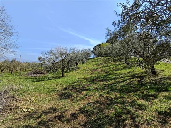 casa indipendente in vendita a Ruviano