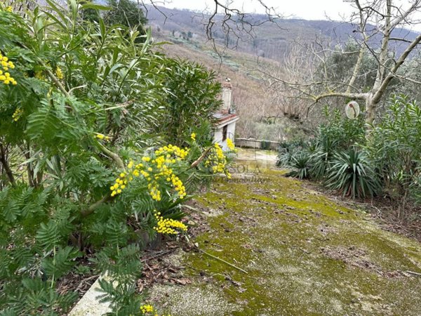 terreno agricolo in vendita a San Felice a Cancello in zona Cancello