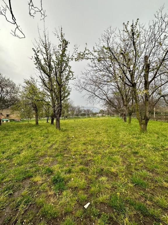 terreno agricolo in vendita a San Felice a Cancello in zona Cancello