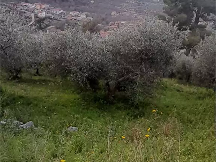 terreno agricolo in vendita a San Felice a Cancello in zona Talanico