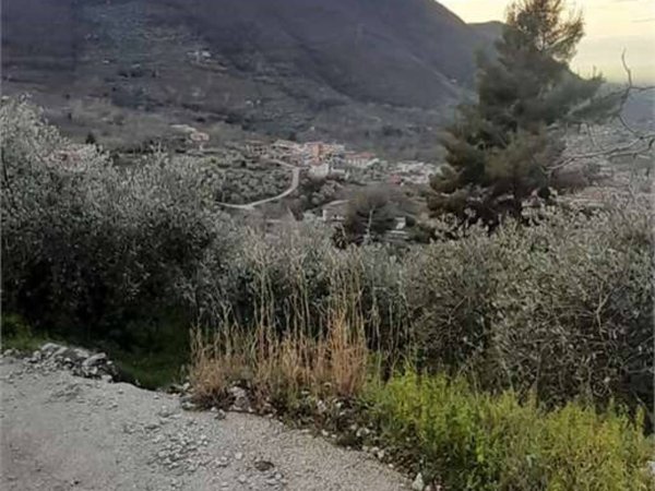 terreno agricolo in vendita a San Felice a Cancello in zona Talanico
