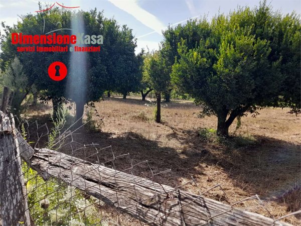 terreno agricolo in vendita a San Felice a Cancello
