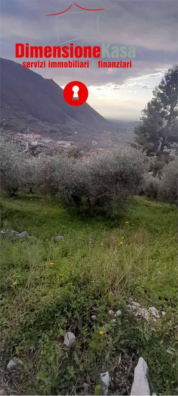 terreno agricolo in vendita a San Felice a Cancello in zona Talanico