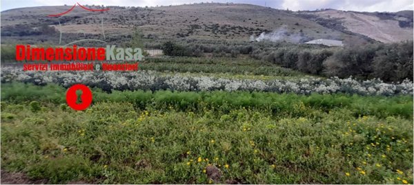 terreno agricolo in vendita a San Felice a Cancello in zona Cancello