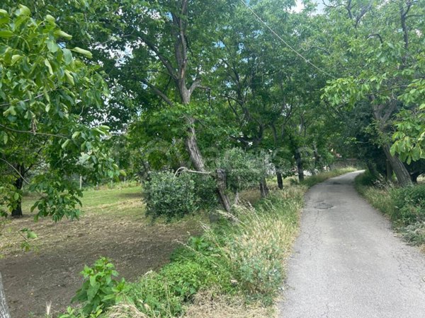terreno agricolo in vendita a San Felice a Cancello in zona Cancello
