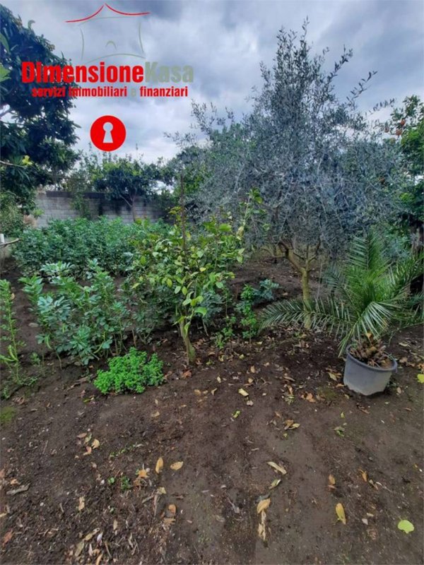 terreno agricolo in vendita a San Felice a Cancello in zona Cancello