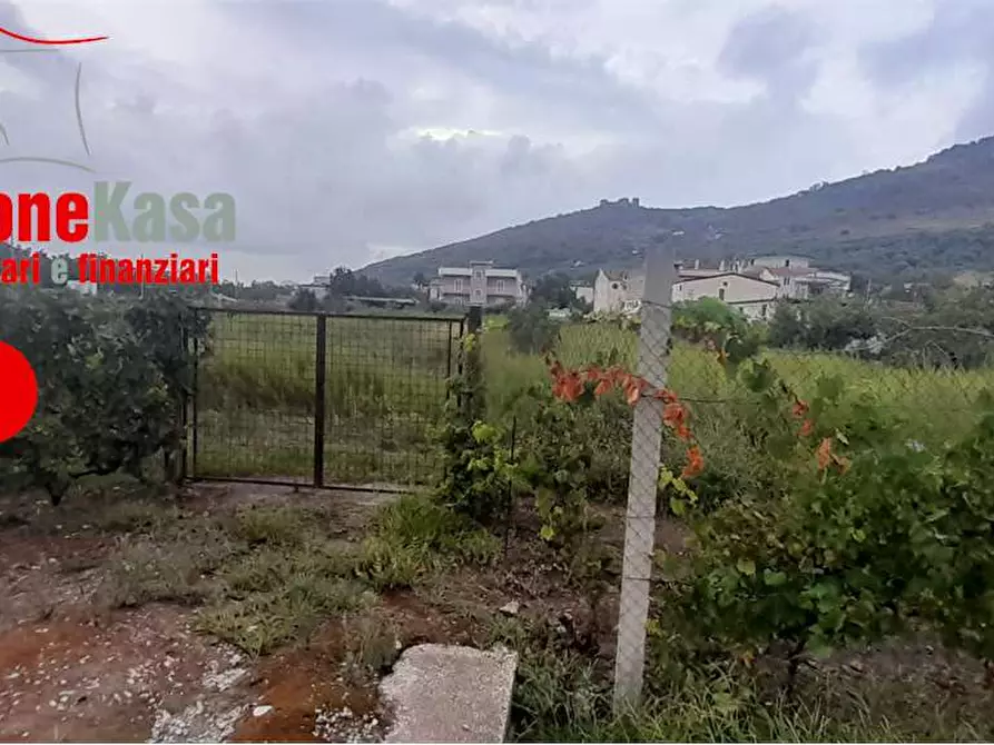 terreno agricolo in vendita a San Felice a Cancello