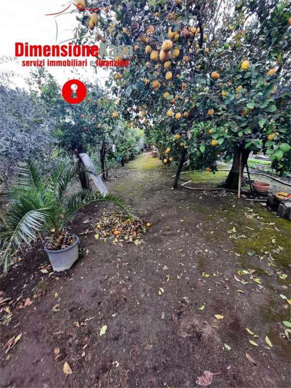 terreno agricolo in vendita a San Felice a Cancello in zona Cancello