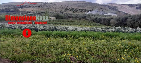 terreno agricolo in vendita a San Felice a Cancello