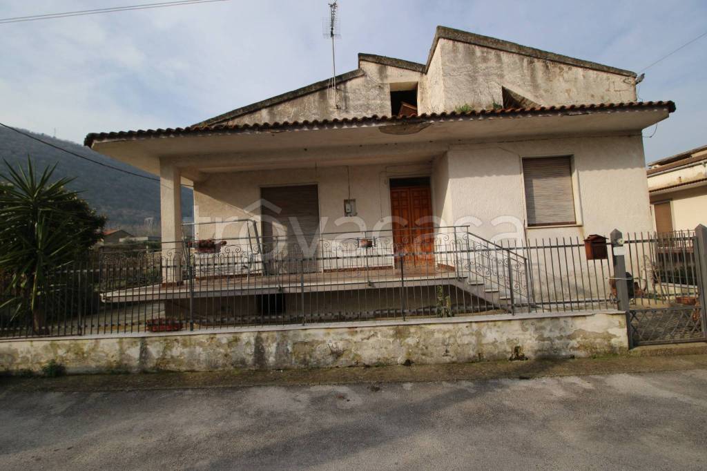 immagine annuncio 0 di 15