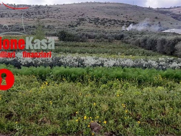 terreno agricolo in vendita a San Felice a Cancello