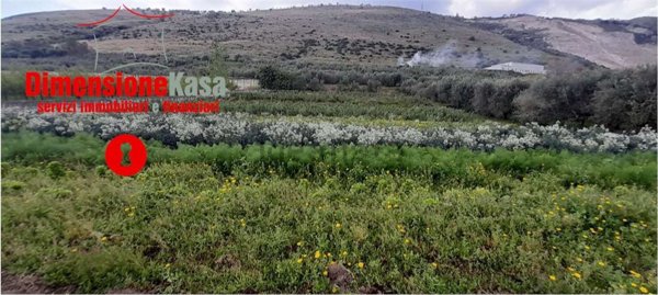 terreno agricolo in vendita a San Felice a Cancello
