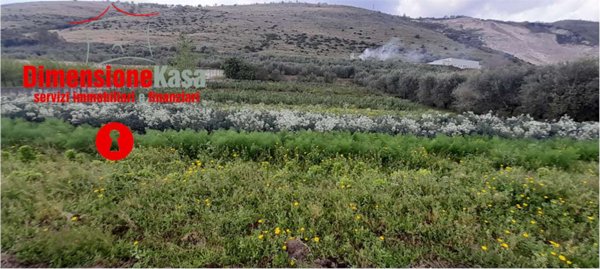 terreno agricolo in vendita a San Felice a Cancello