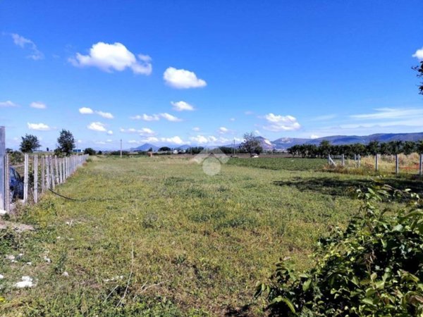 terreno agricolo in vendita a San Felice a Cancello