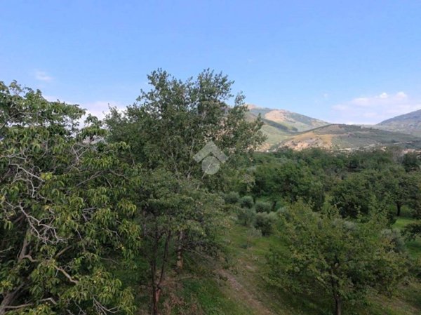 terreno agricolo in vendita a San Felice a Cancello
