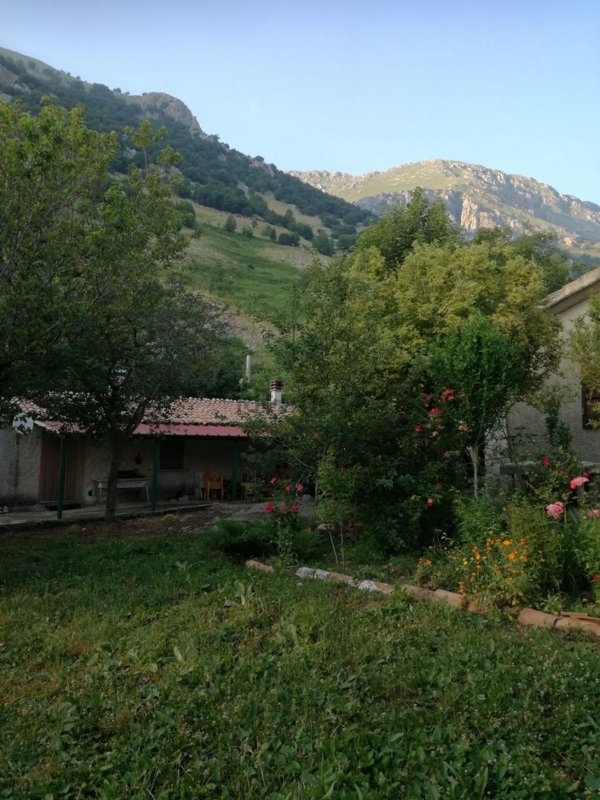 quadrivano in vendita a San Gregorio Matese