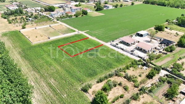 terreno agricolo in vendita a San Marcellino