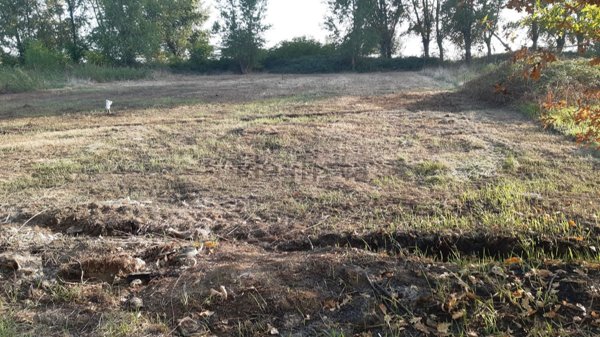 terreno agricolo in vendita a San Marcellino