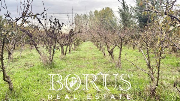 terreno edificabile in vendita a San Marcellino