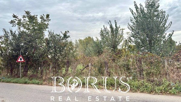 terreno agricolo in vendita a San Marcellino