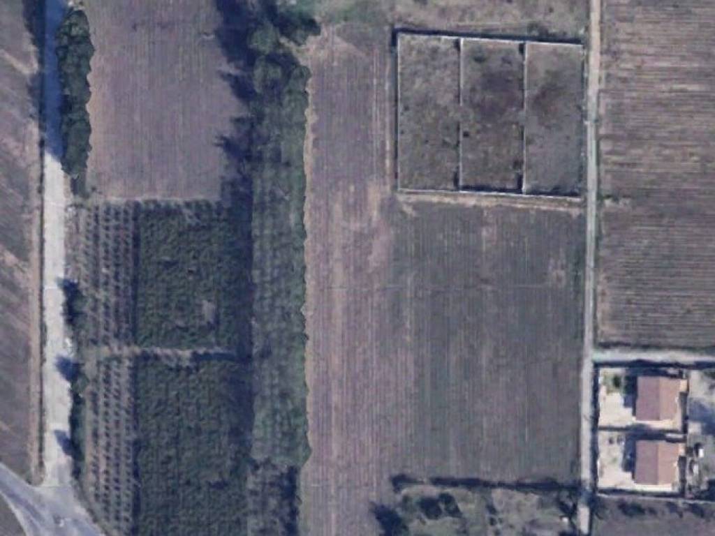 terreno agricolo in vendita a San Marcellino