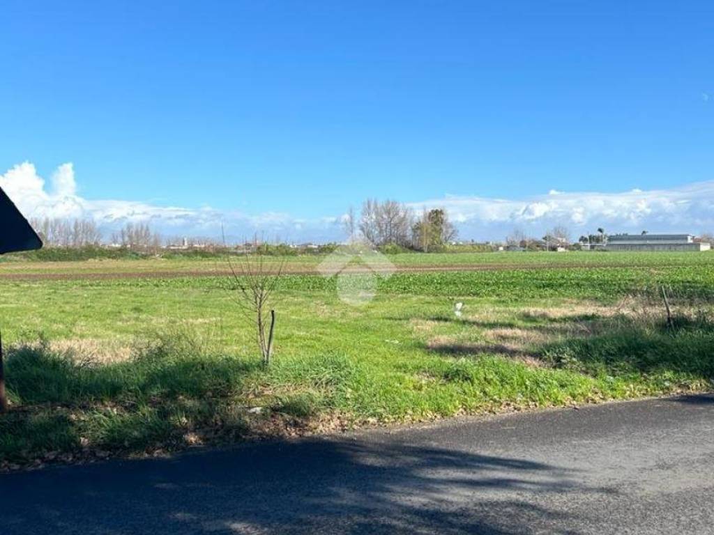 terreno agricolo in vendita a San Marcellino