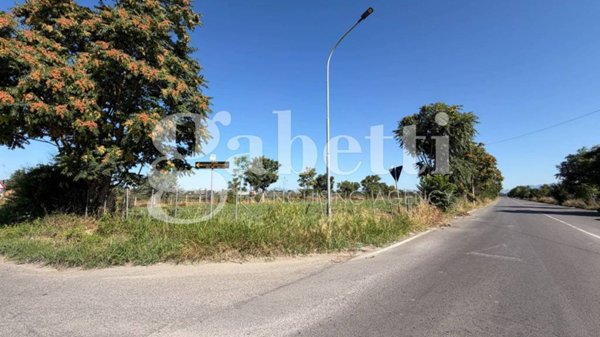 terreno agricolo in vendita a San Marcellino