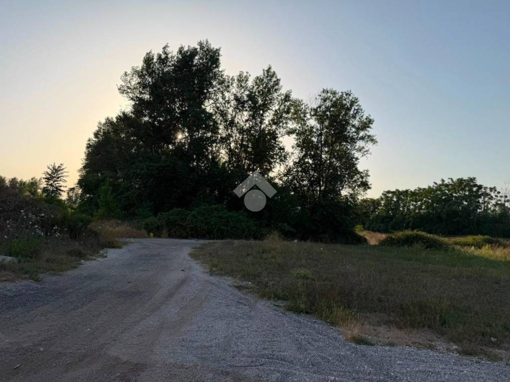 terreno agricolo in vendita a San Marcellino