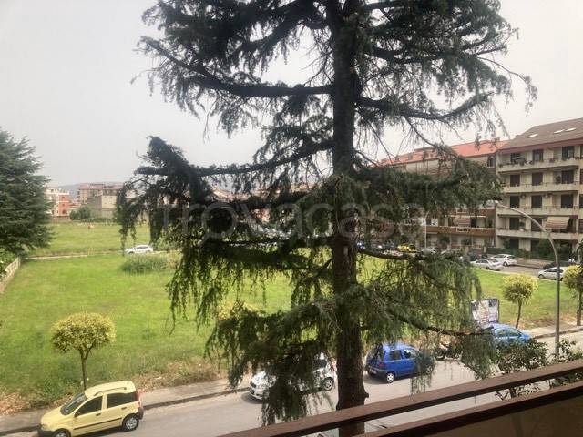 appartamento in vendita a San Nicola la Strada