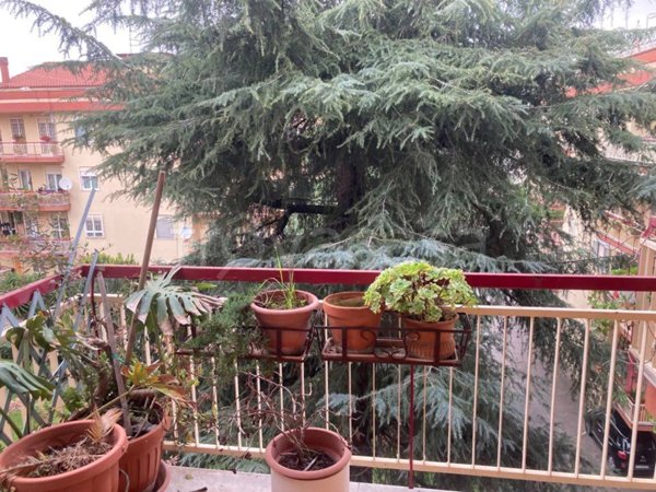 appartamento in vendita a San Nicola la Strada
