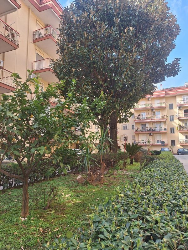 appartamento in vendita a San Nicola la Strada