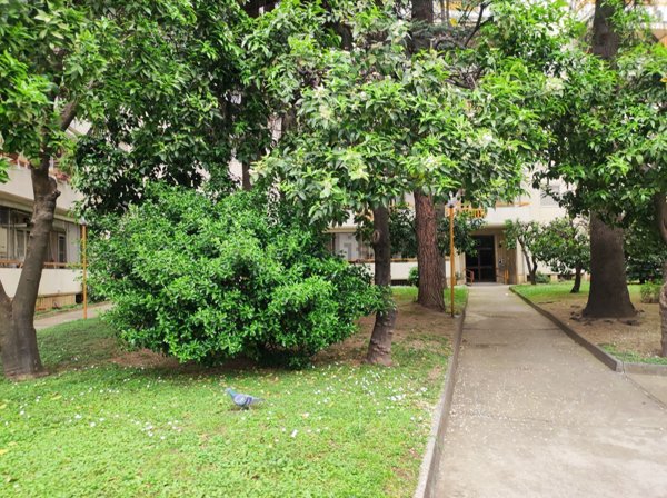 appartamento in vendita a San Nicola la Strada