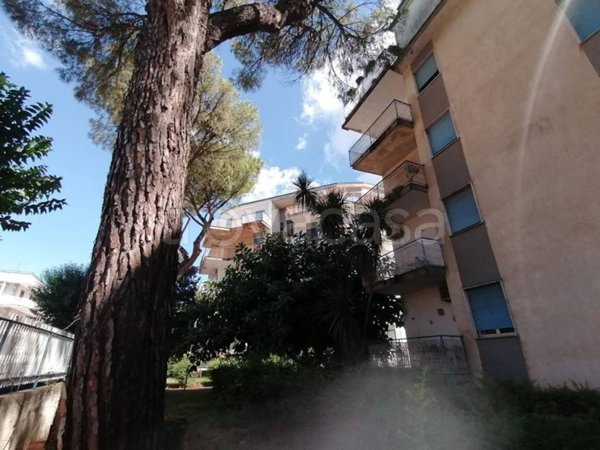 appartamento in vendita a San Nicola la Strada