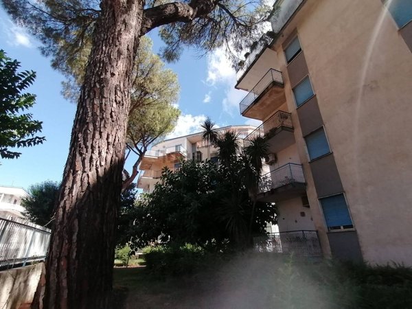 appartamento in vendita a San Nicola la Strada