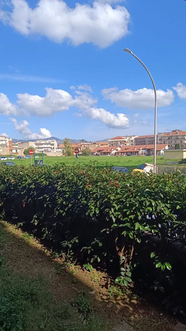 casa indipendente in vendita a San Nicola la Strada
