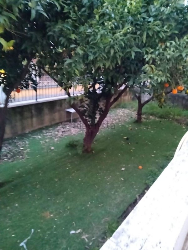 appartamento in vendita a San Nicola la Strada