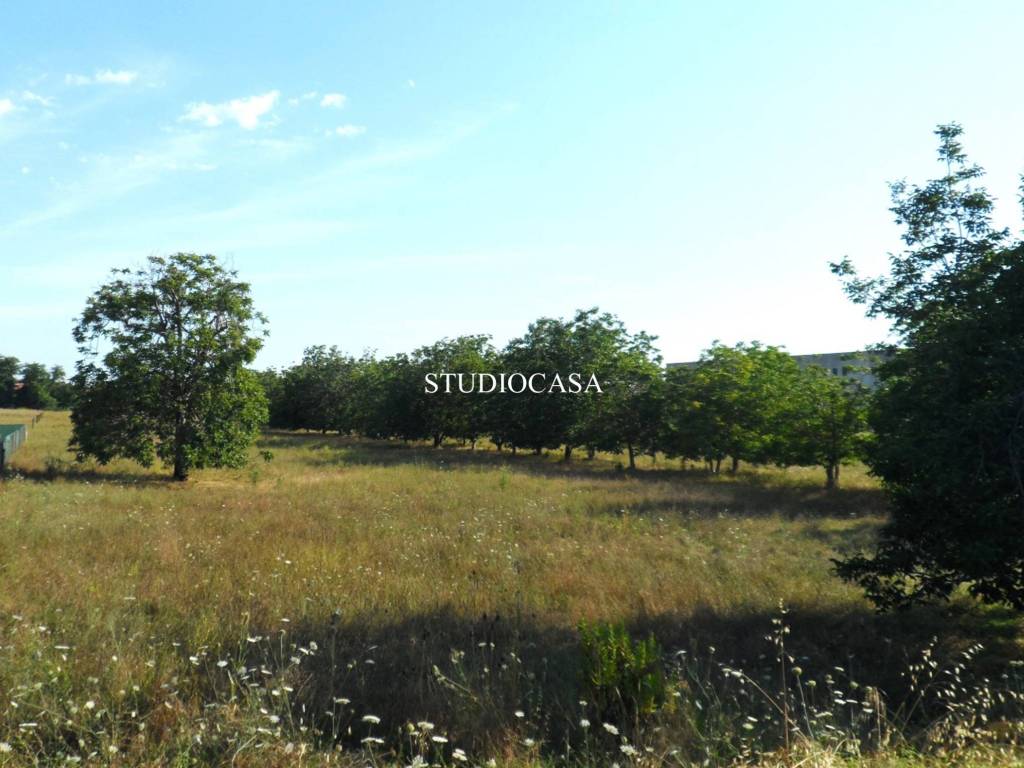 terreno agricolo in vendita a San Nicola la Strada