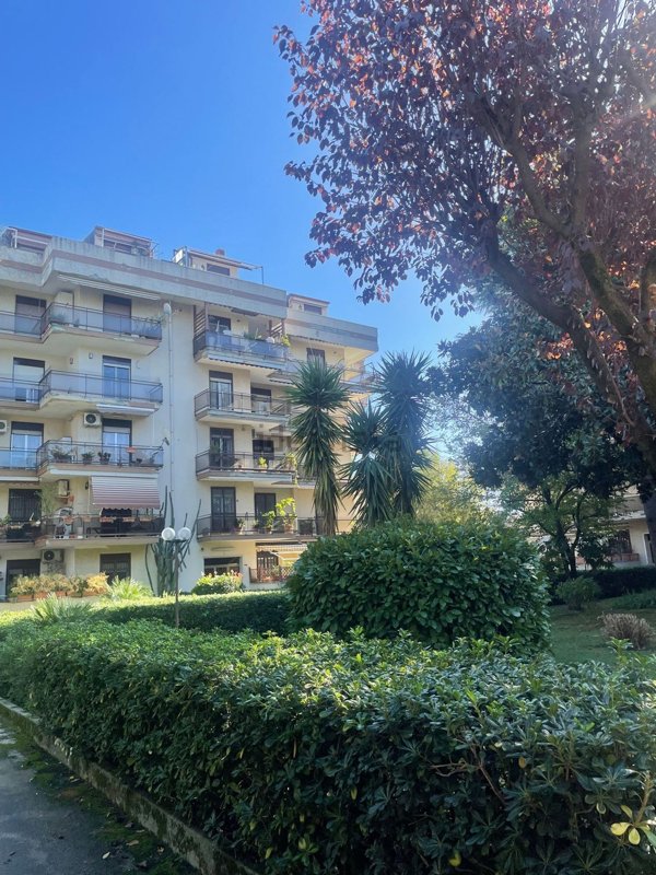 appartamento in vendita a San Nicola la Strada