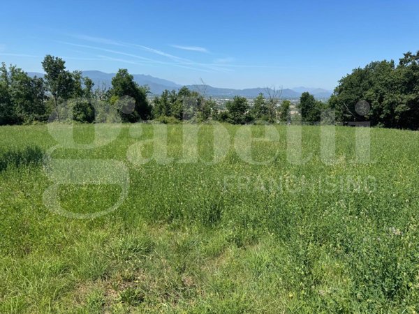 terreno agricolo in vendita a San Potito Sannitico