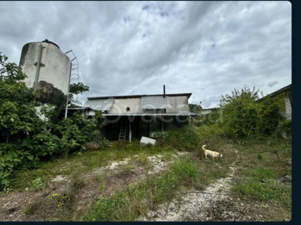negozio in vendita a San Potito Sannitico