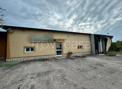 negozio in vendita a San Potito Sannitico