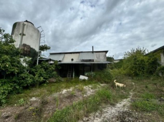 negozio in vendita a San Potito Sannitico