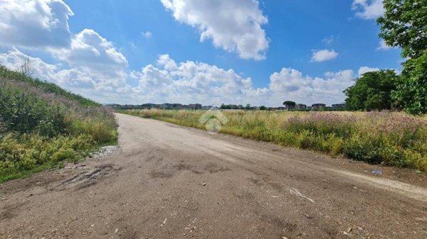 terreno agricolo in vendita a San Prisco