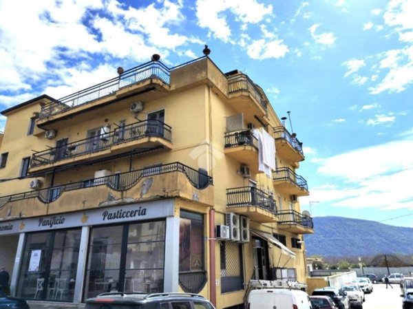 immagine annuncio 0 di 15
