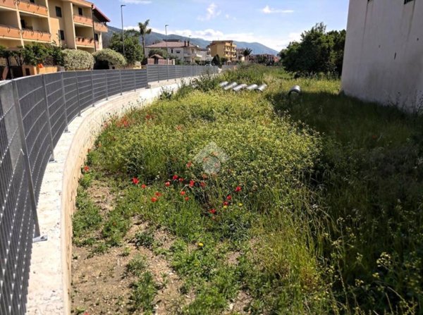terreno agricolo in vendita a Santa Maria a Vico