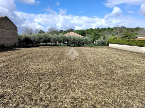 terreno agricolo in vendita a Santa Maria a Vico