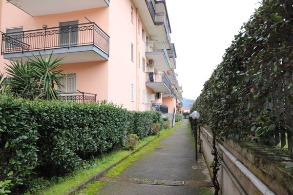 appartamento in vendita a Santa Maria a Vico