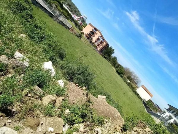 terreno agricolo in vendita a Santa Maria a Vico