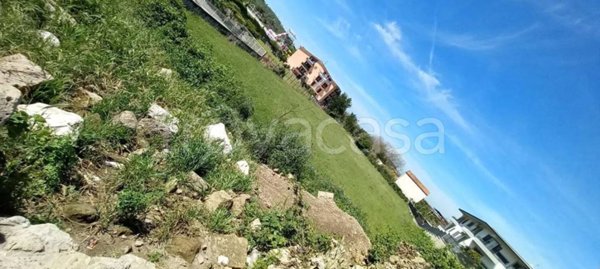 terreno agricolo in vendita a Santa Maria a Vico