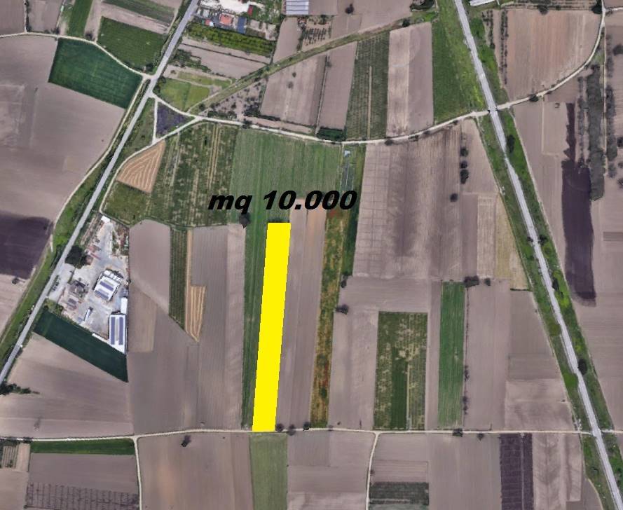 terreno agricolo in vendita a Santa Maria Capua Vetere